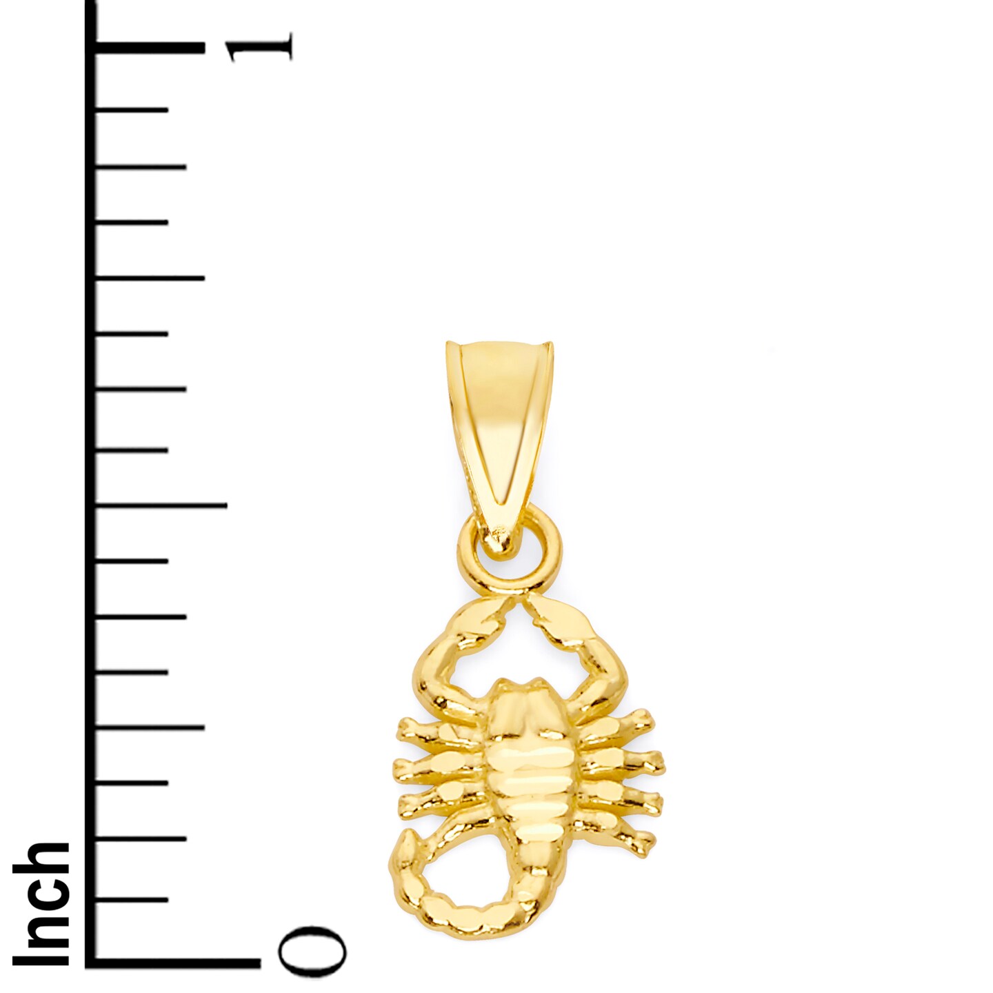 Solid 10k or 14k Gold Scorpion Pendant Necklace with Gold Rolo Chain,  material: 10k Gold add chain: 20 Inch Chain