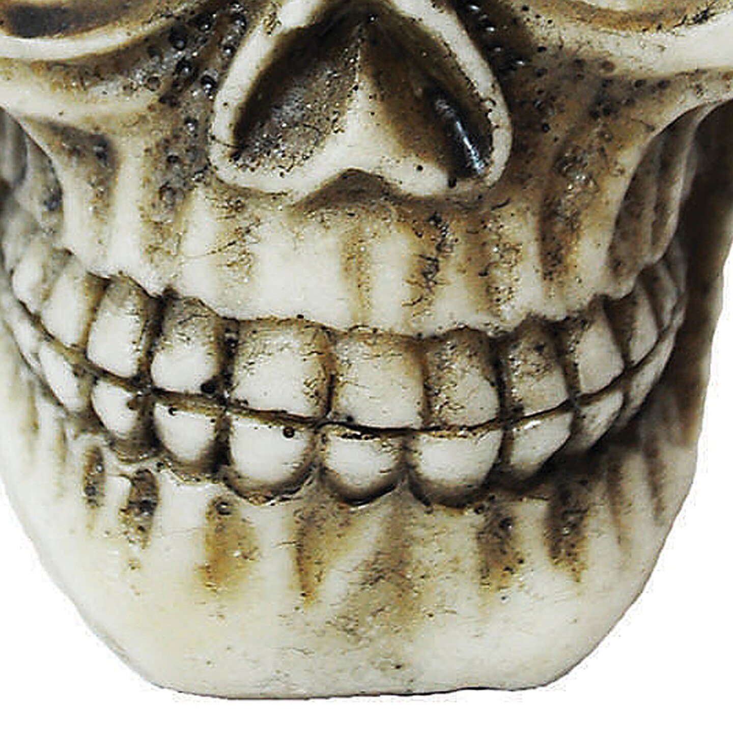 Skull Shot Glass 3.5 Inch Halloween Party Favor