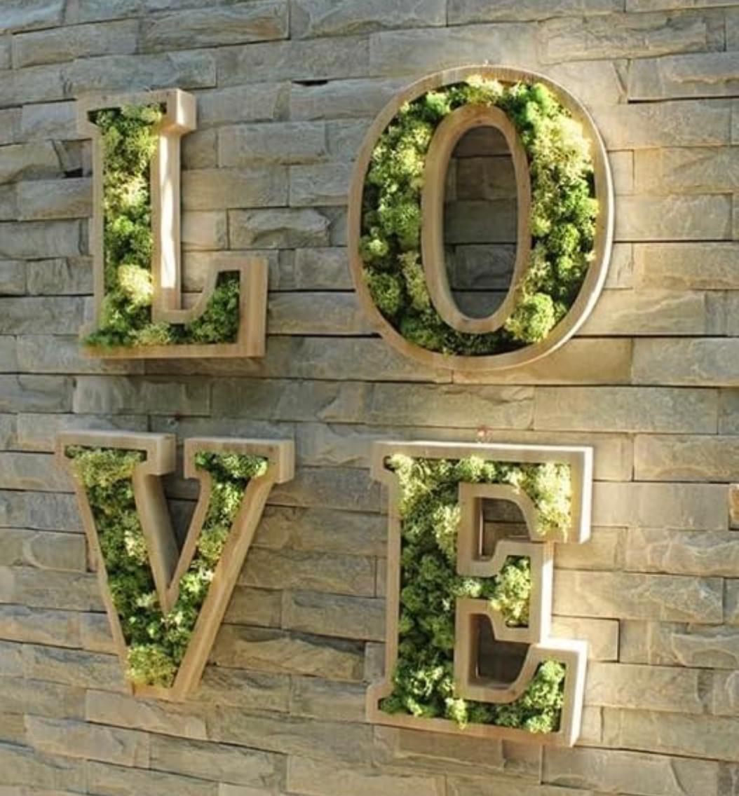 Moss Preserved Dark Green for Fairy Gardens Terrariums, Craft, DIY, Floral, 1Kg Musgo Preservado