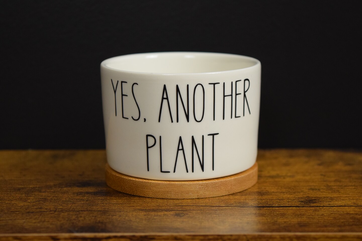 Yes, Another Plant Succulent Pot, Funny Mini 3 inch Pot With Bamboo ...