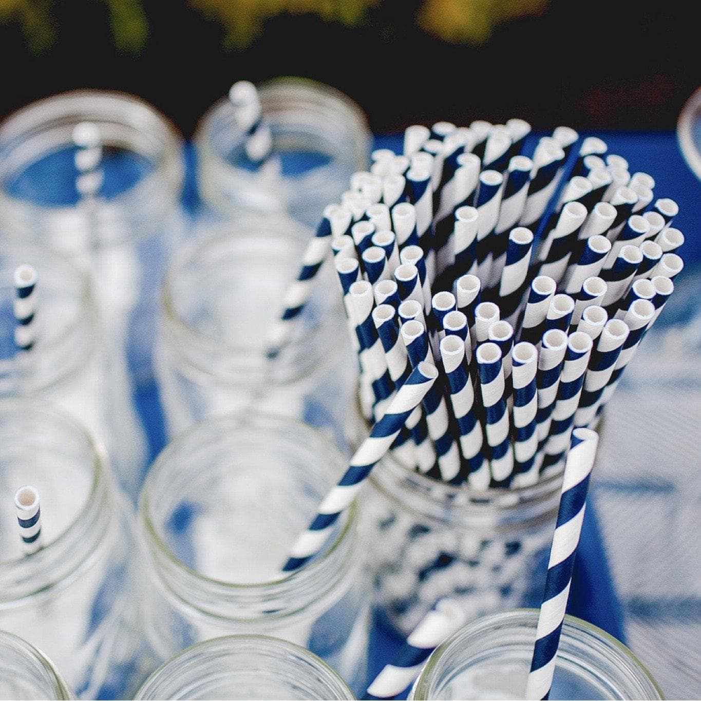 Black & White Candy Cane Striped Cake Pop Party Straws
