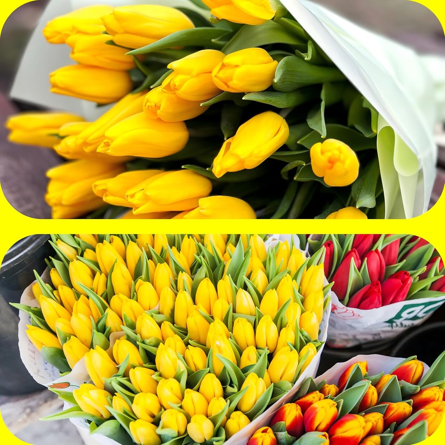 15 Pcs Fake Tulips Artificial Flowers (Yellow) 11.8"D x 7.8"W x 0.3"H