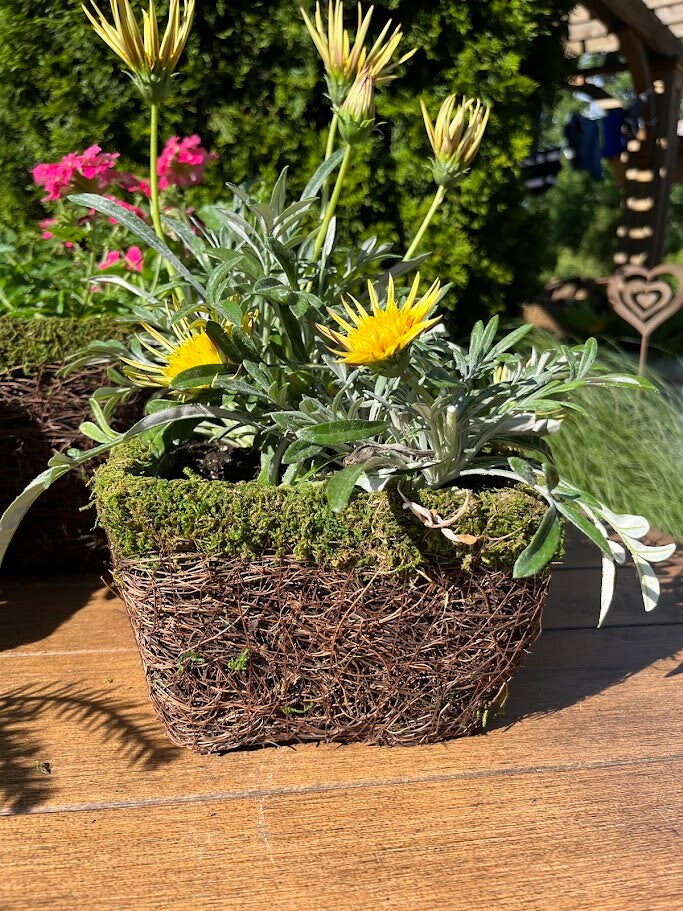 Square Basket Planters - Natural MOSS &#x26; Wicker