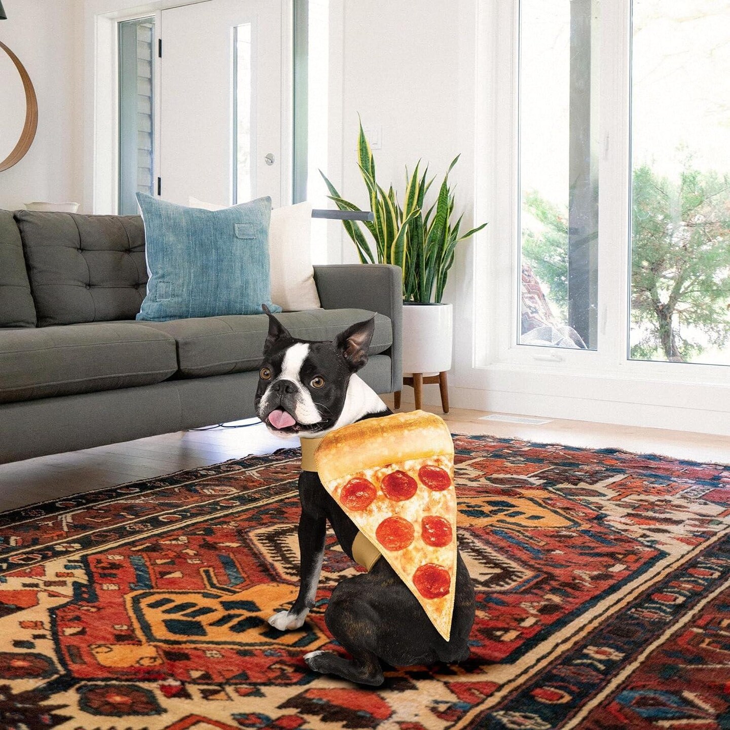 Pet Pizza Fancy Dress Dog Costume S/M