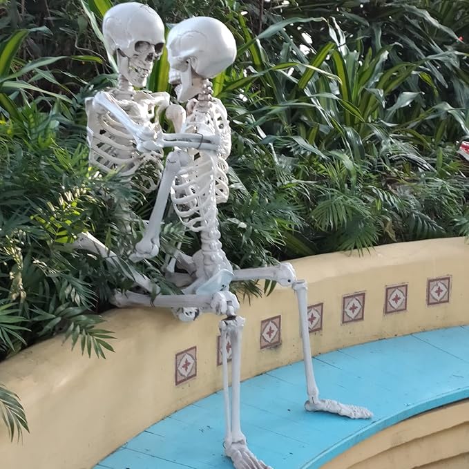 Plastic Human Skeleton Bones with Movable Joints for Halloween Decoration Spooky Scene Party Favors Décor