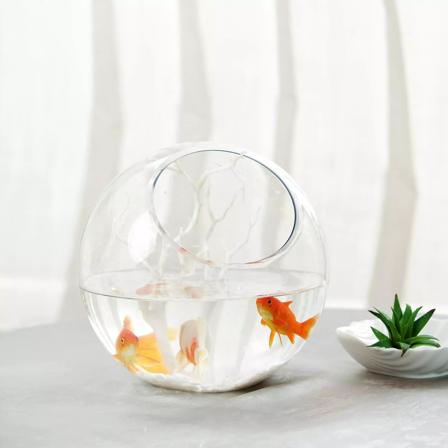 Clear 9&#x22; Slanted Glass Terrarium Vase Wedding Party Centerpieces Decorations