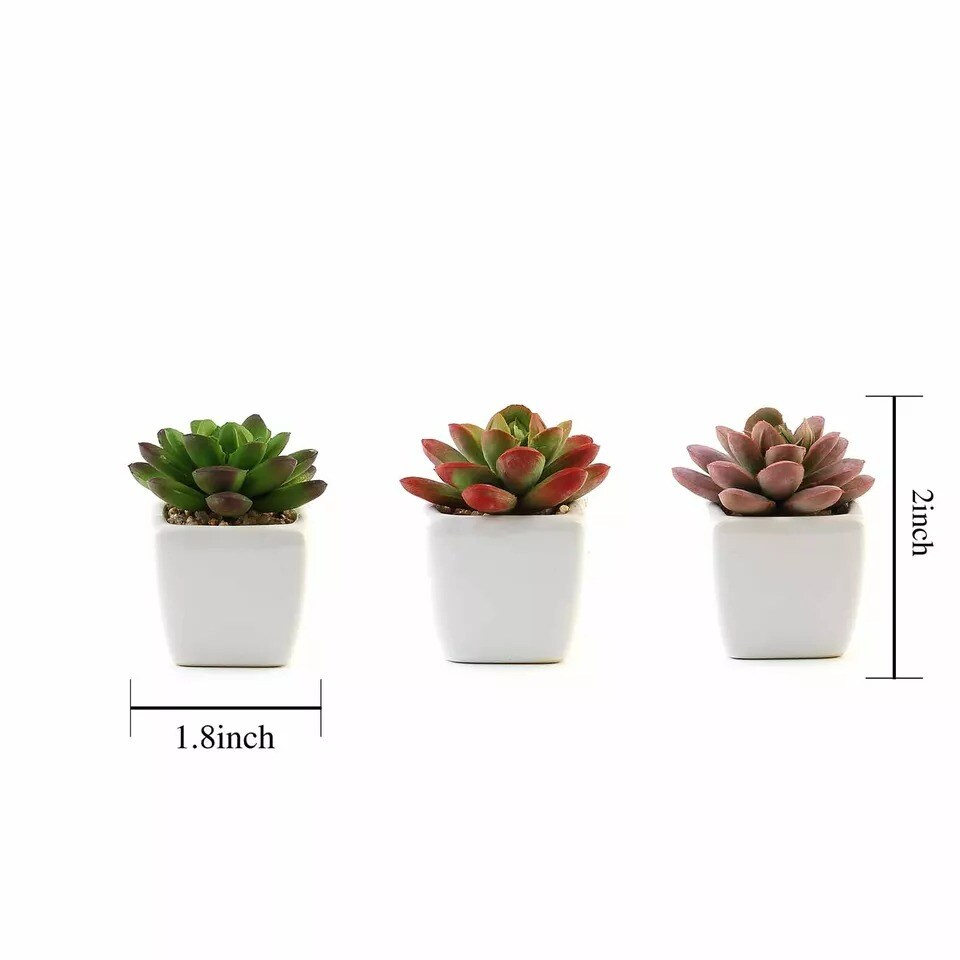 Set of 3 3" tall Mini Faux Succulent Plants with Off White Ceramic Pots Wedding