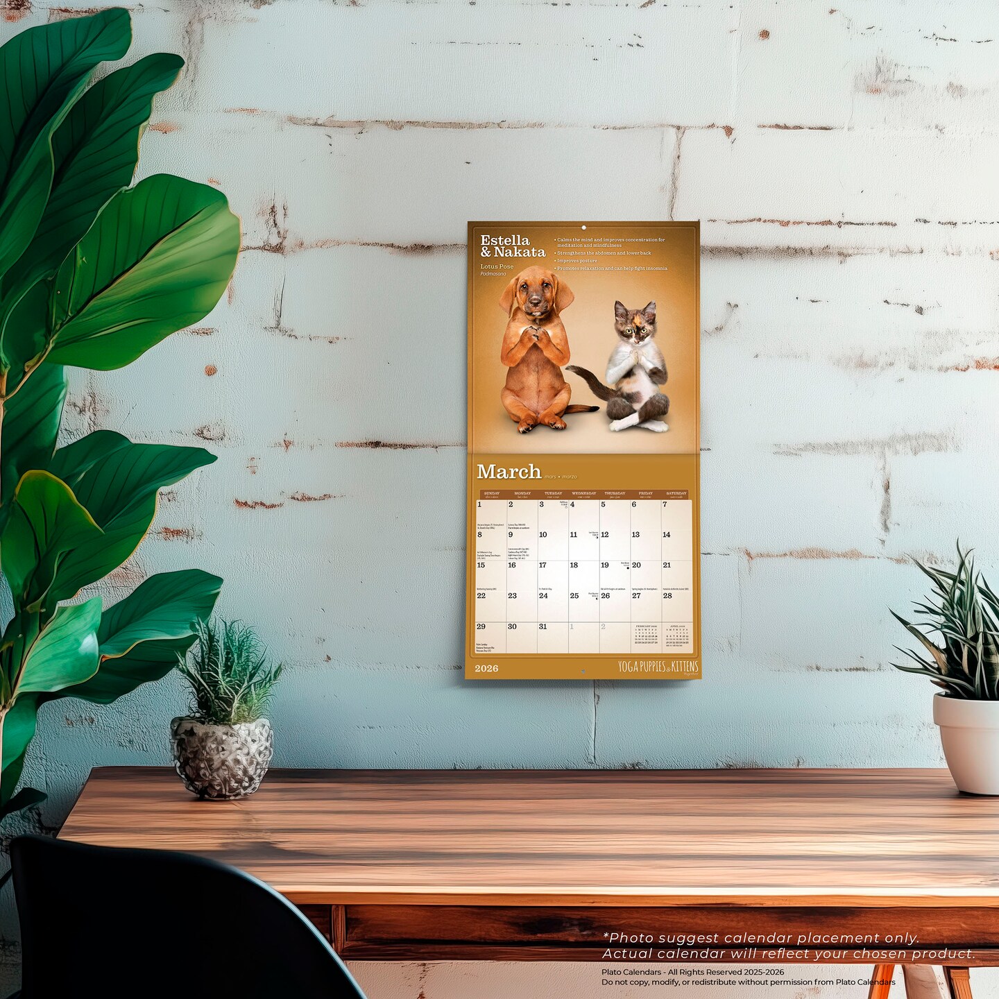 Yoga Puppies &#x26; Kittens Together OFFICIAL | 2026 7 x 14 Inch (Hanging) Monthly Mini Wall Calendar