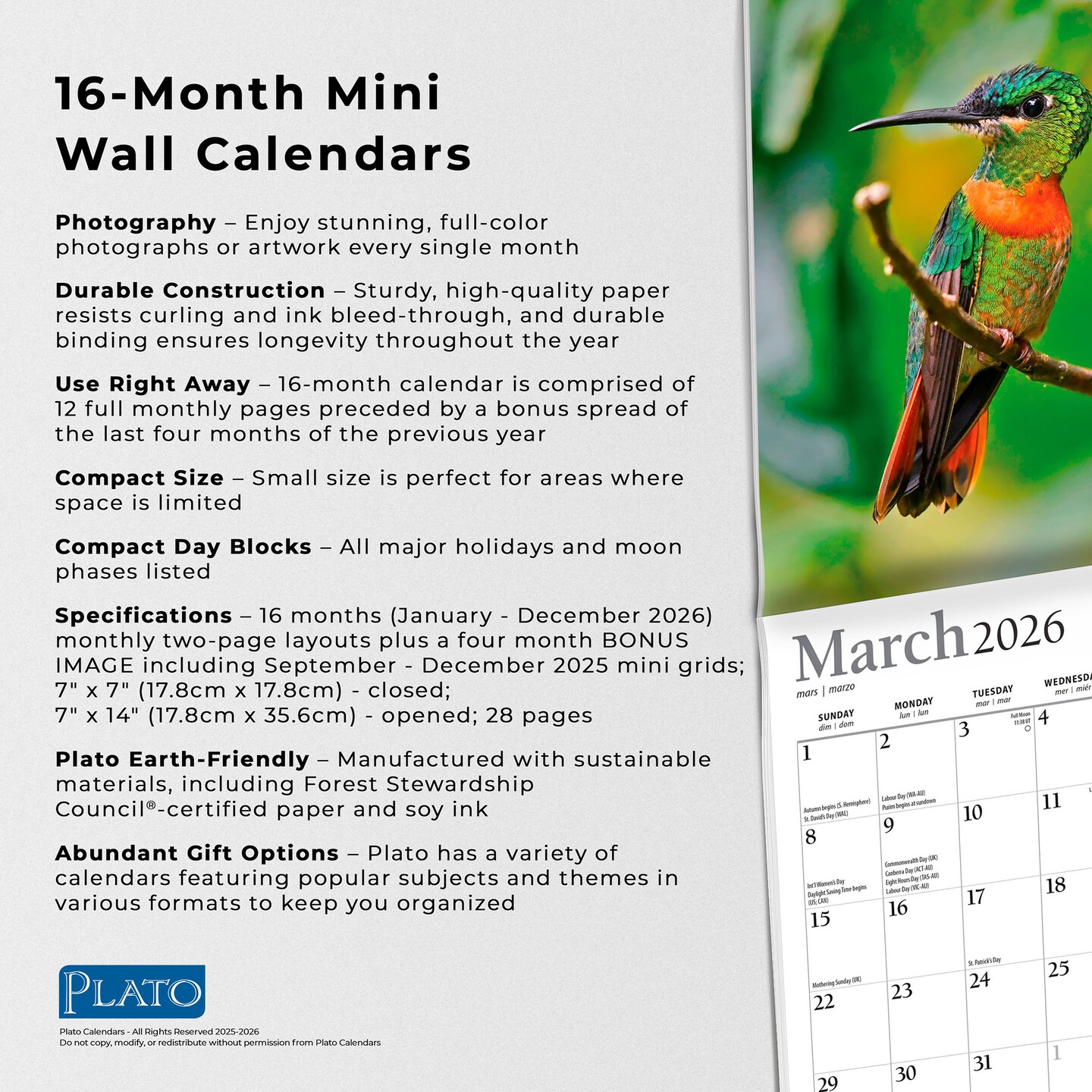 Hummingbirds | 2026 7 x 14 Inch (Hanging) Monthly Mini Wall Calendar | Foil Stamped Cover