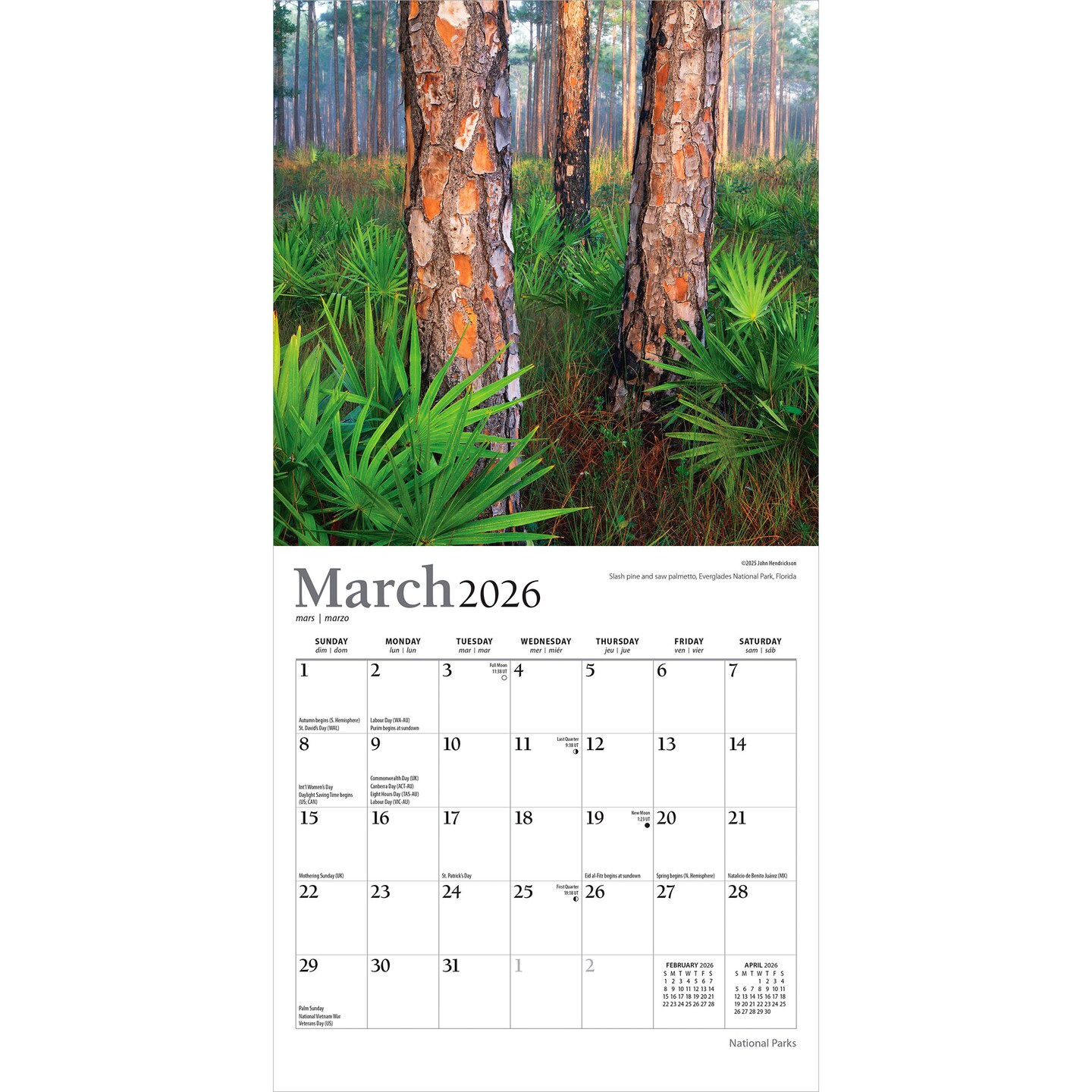 National Parks | 2026 7 x 14 Inch (Hanging) Monthly Mini Wall Calendar | Foil Stamped Cover