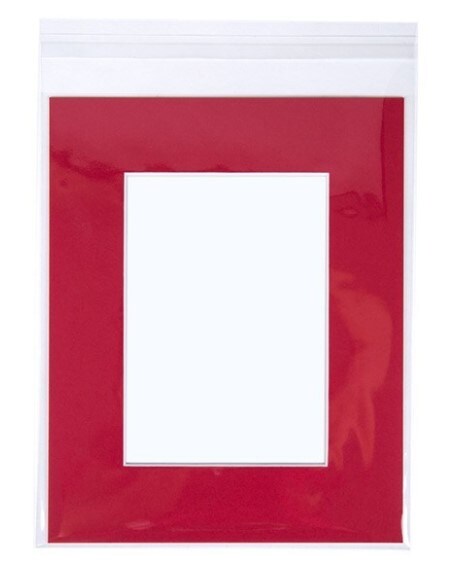 Crystal Clear Bags&#xAE; with Flap 8 7/16&#x22; x 10 1/4&#x22; 100 pack B108