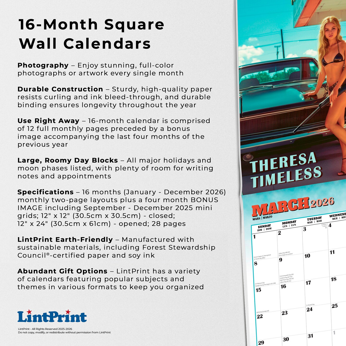 Hot Chicks Cold Steel | 2026 12 x 24 Inch (Hanging) Monthly Square Wall Calendar