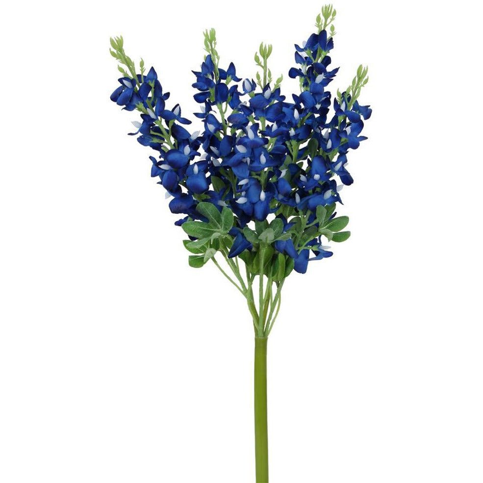 Blue Bonnet Bush