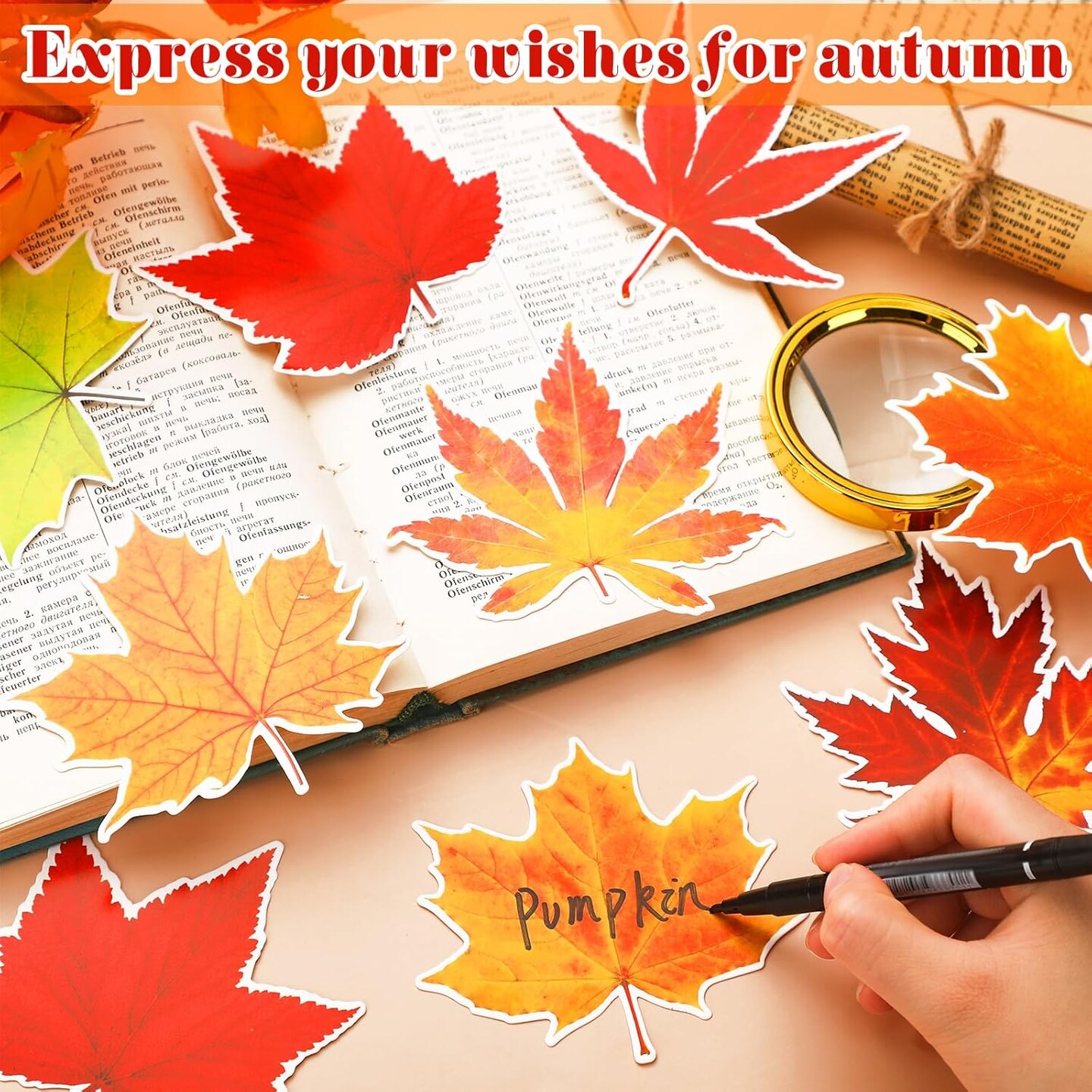 Thanksgiving Fall Bulletin Board Decorations