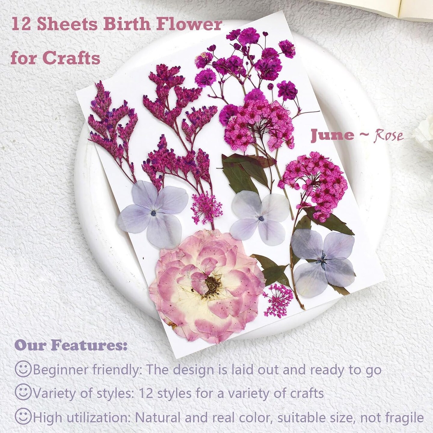 12 Packs Real Dried Flowers for Crafts