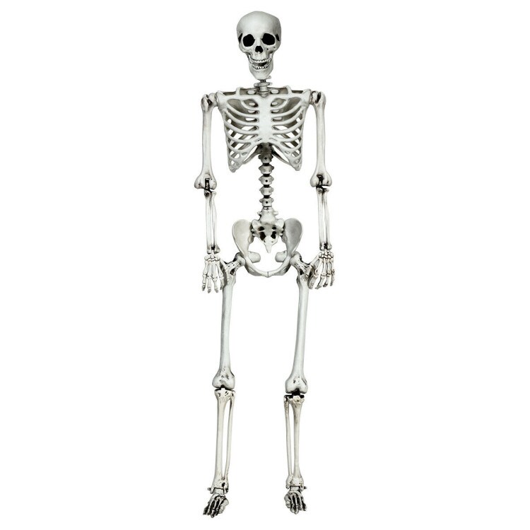 5.4 Feet Life-Size White Poseable Halloween Skeleton with Hanging Rope for Outdoor Decor