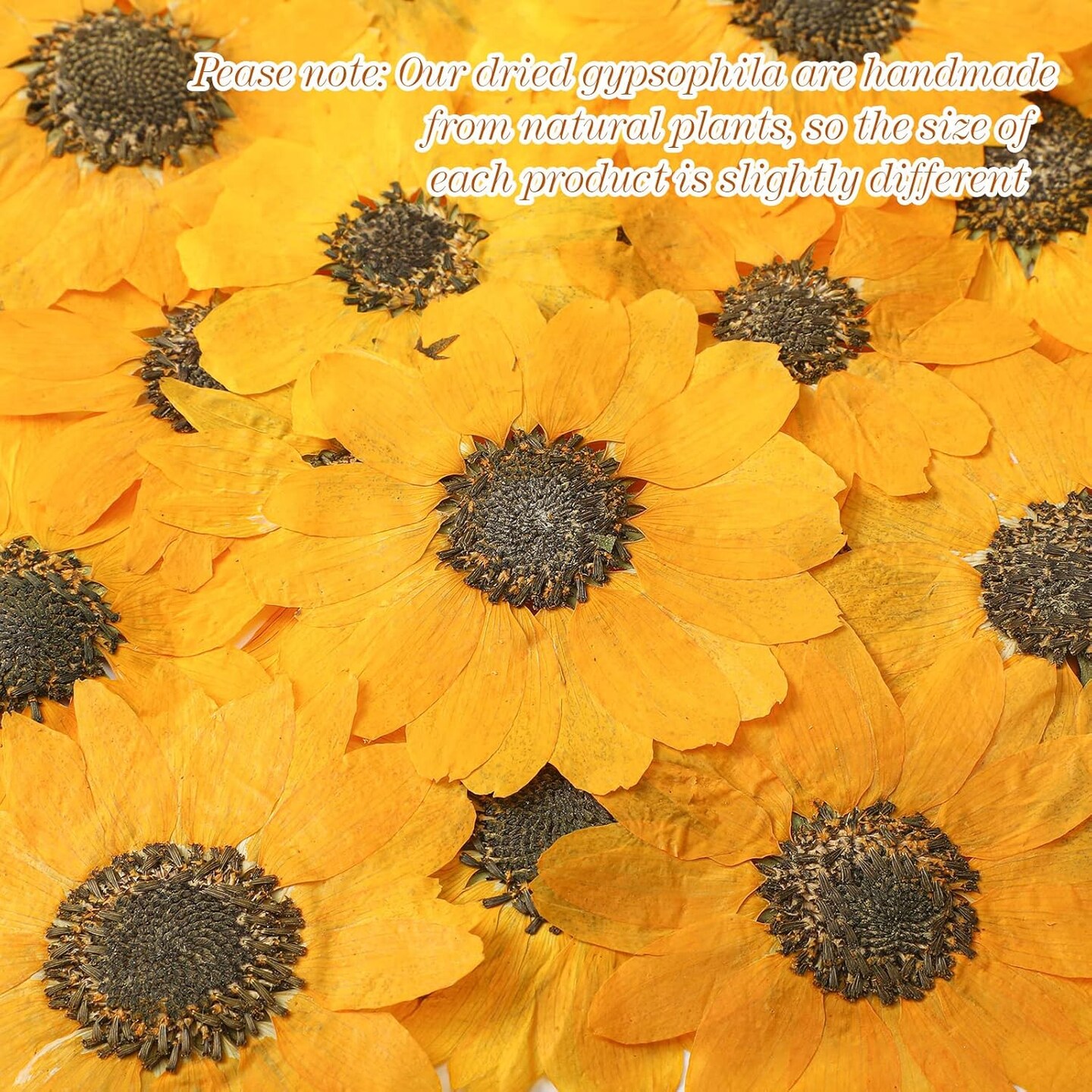 24 Pcs Dried Pressed Flowers for Resin Real Natural Sunflower Petals for Jewelry Candle Soap Making DIY Art Craft Scrapbooking Supplies(Yellow)