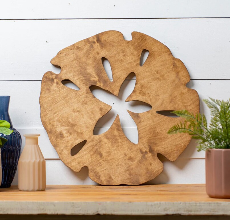 12&#x22; Sand Dollar