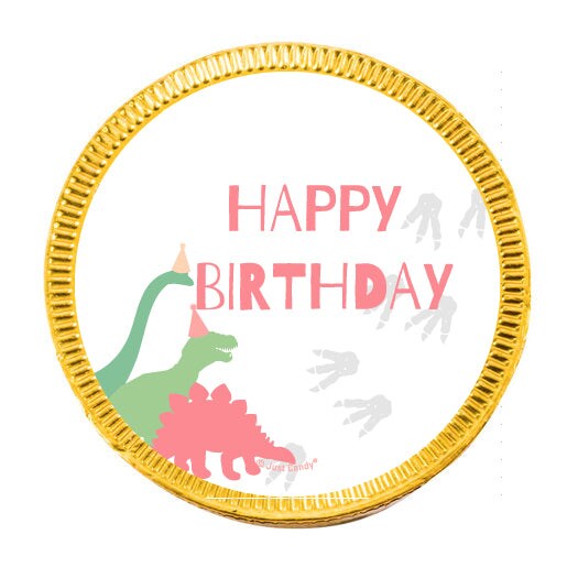 80 Pcs Pink Dinosaur Kid's Birthday Candy Party Favors Chocolate Coins with Gold Foil