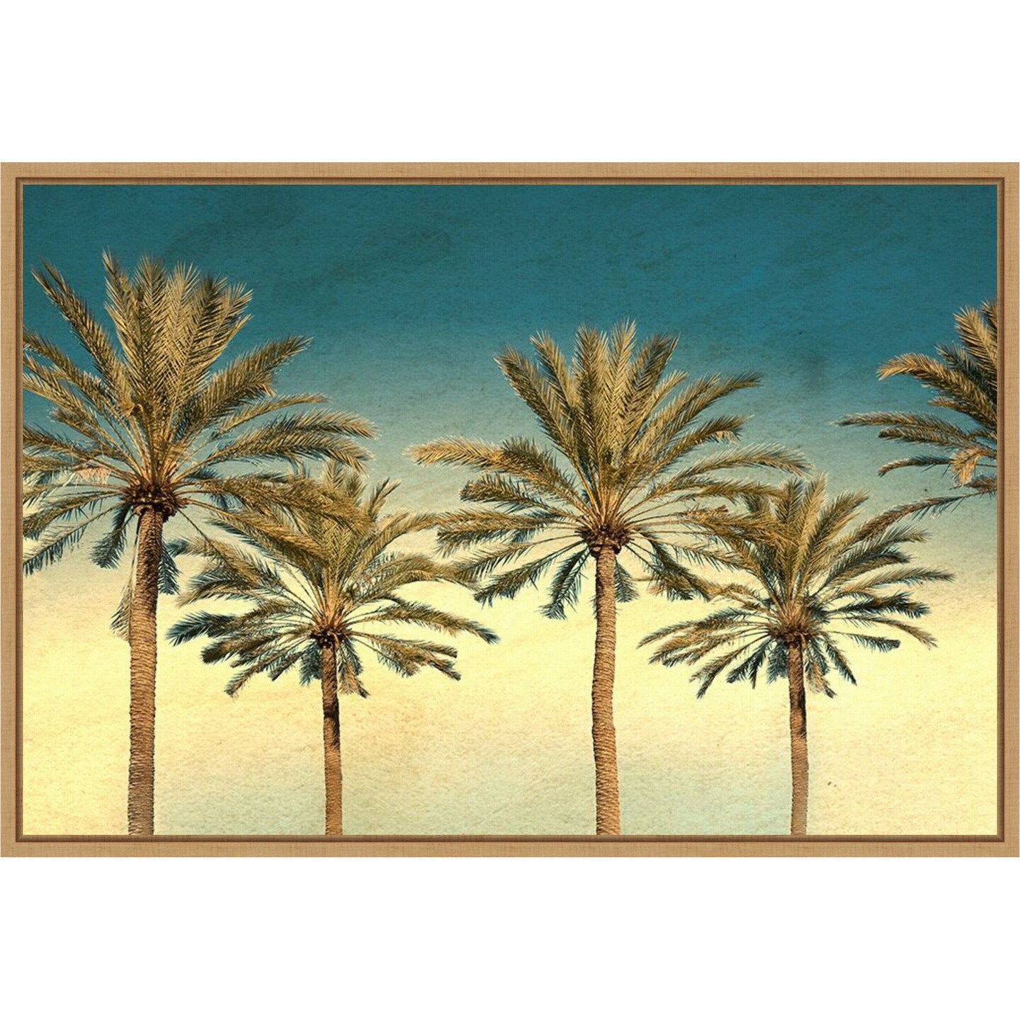 Distressed Palm Trees by Daniel Stein Framed Canvas Wall Art