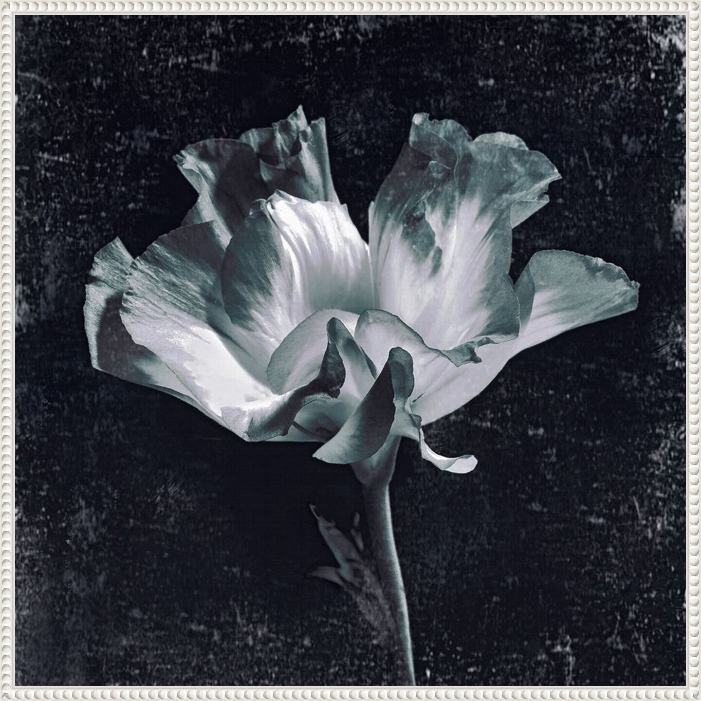 Aurora Blooms III by Sia Aryai Framed Canvas Wall Art