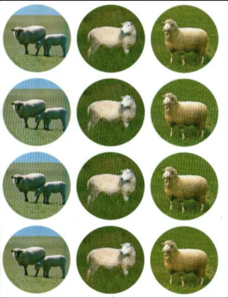 Round Sheep Stickers 1.5" – Farm Animal Circle Stickers – Classroom Reward & Craft Stickers – 10 Pack