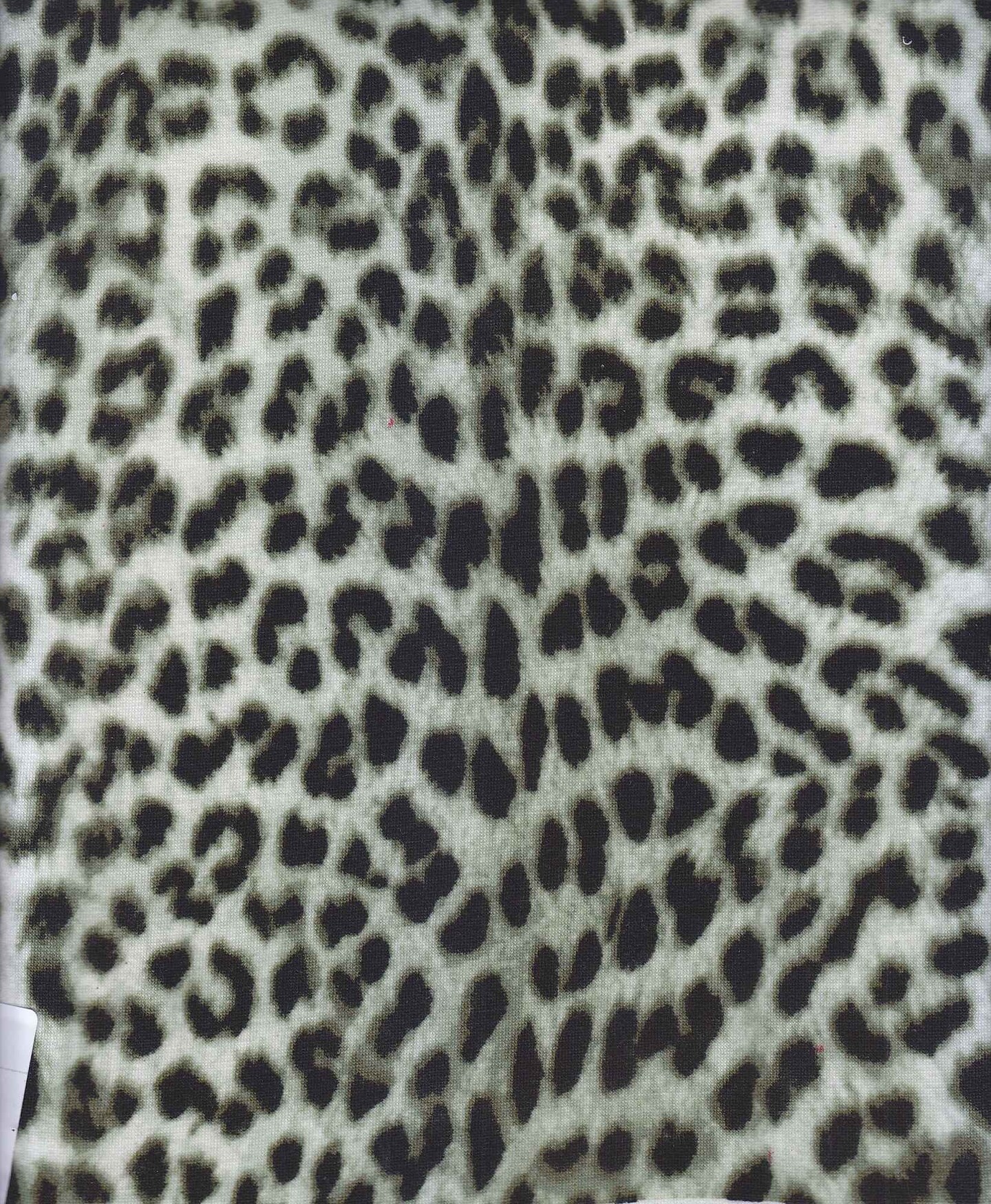 Yard French Terry Knit Fabric Animal Print Soft Stretch 58/60