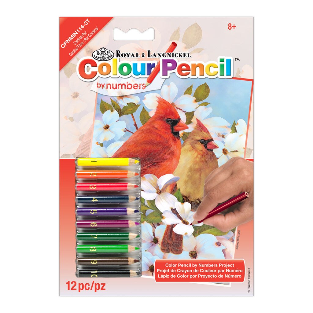 CPNMIN-114 | Colour Pencil by numbers™ 12pc 5" x 7" Cardinal Pair Project