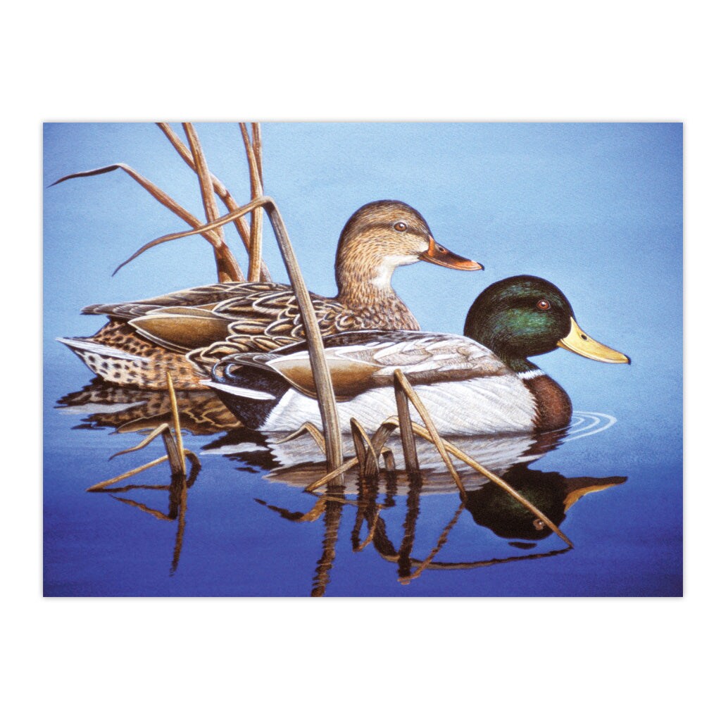PAL38 | Painting by numbers&#x2122; 13pc 11.25&#x22; x 13.375&#x22; Blue Water Mallards Painting Project