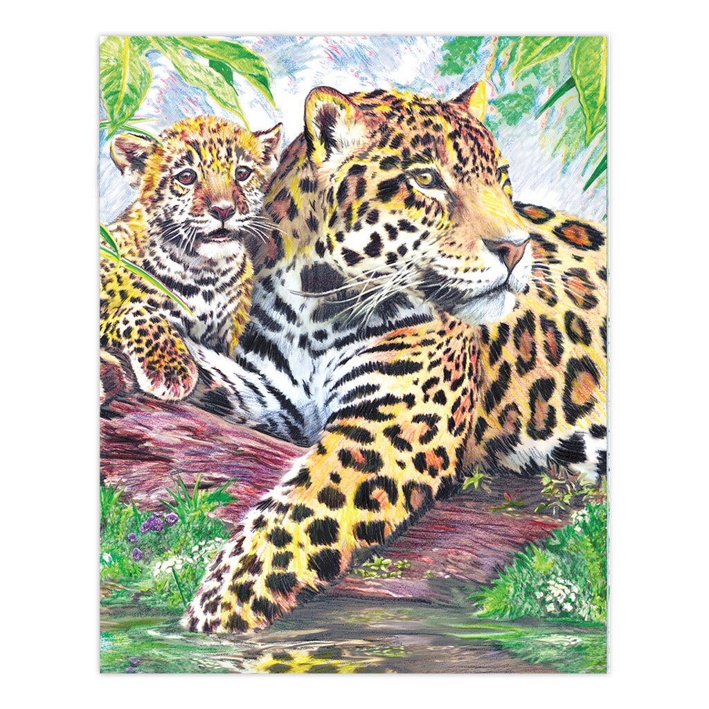 CPN10 | Colour Pencil by numbers&#x2122; 13pc 8.75&#x22; x 11.75&#x22; Jaguar by Pool Project