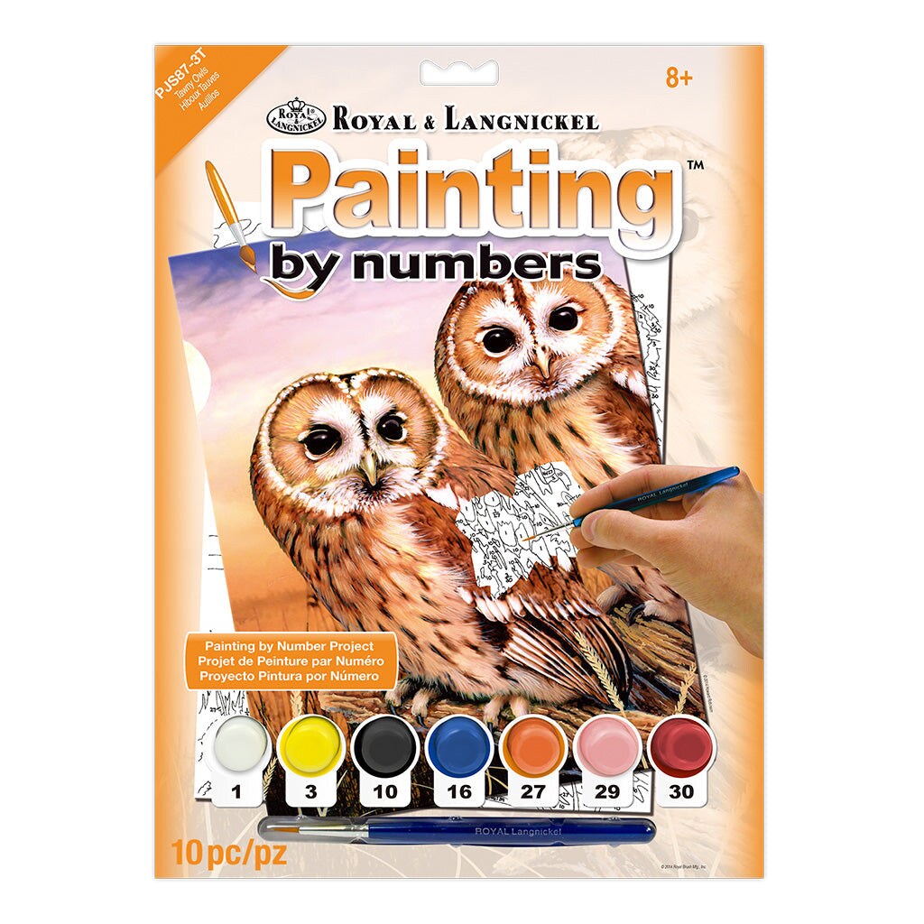 PJS87 | Painting by numbers™ 10pc 8.75" x 11.375" Tawny Owls Painting Project