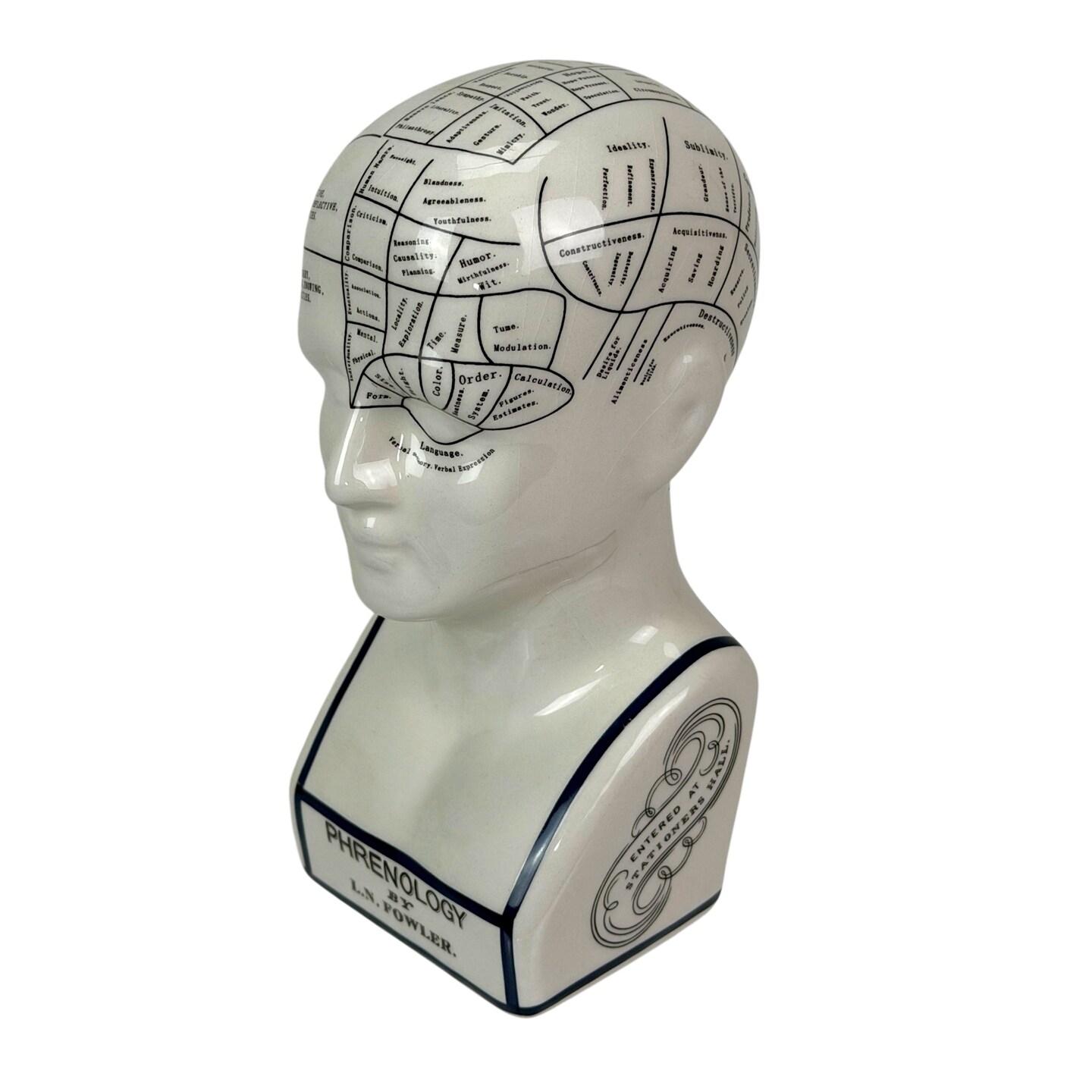 Ceramic Phrenology Bust Collectible Figurine Glossy White Scientific Decor