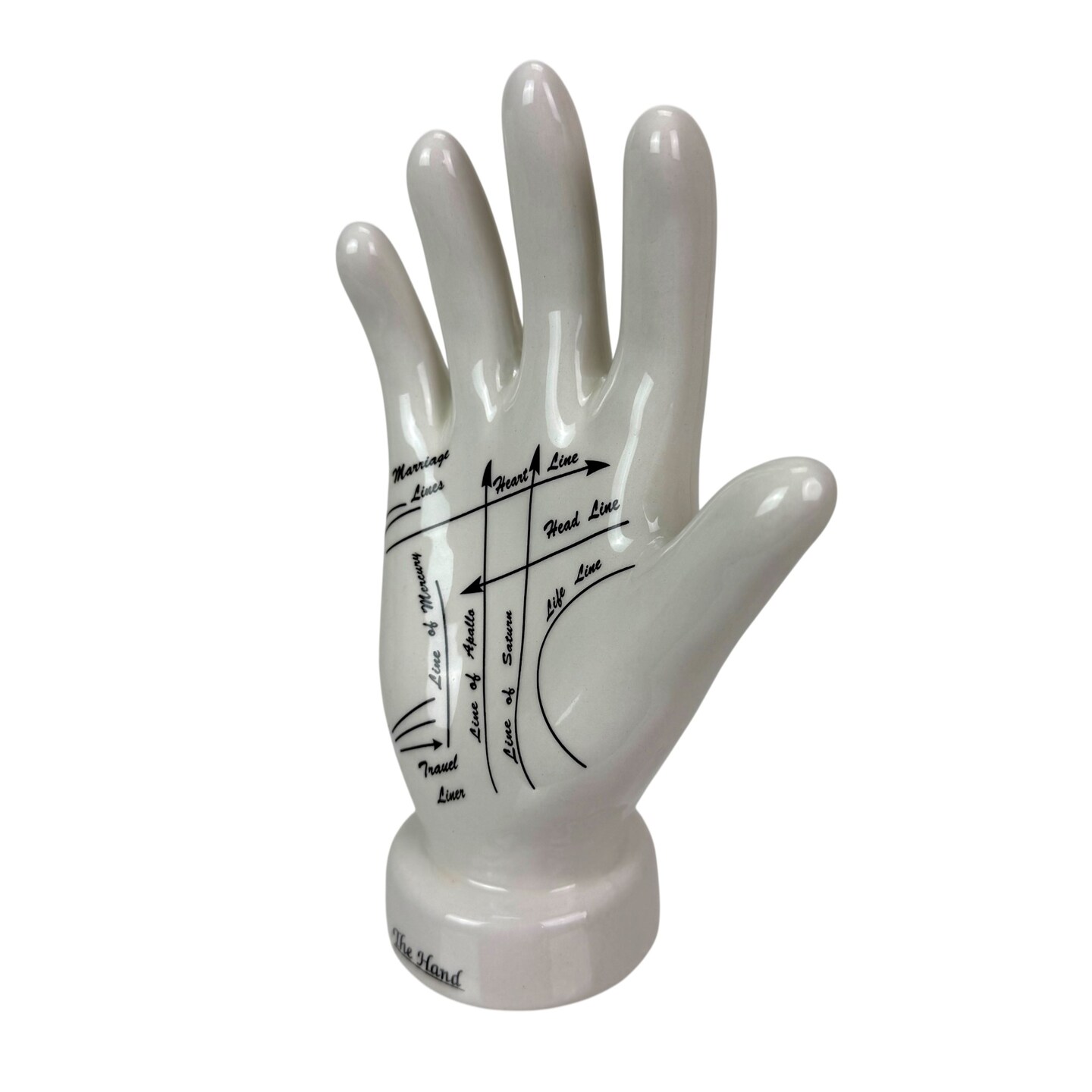 Ceramic Phrenology Bust Collectible Figurine Glossy White Scientific Decor