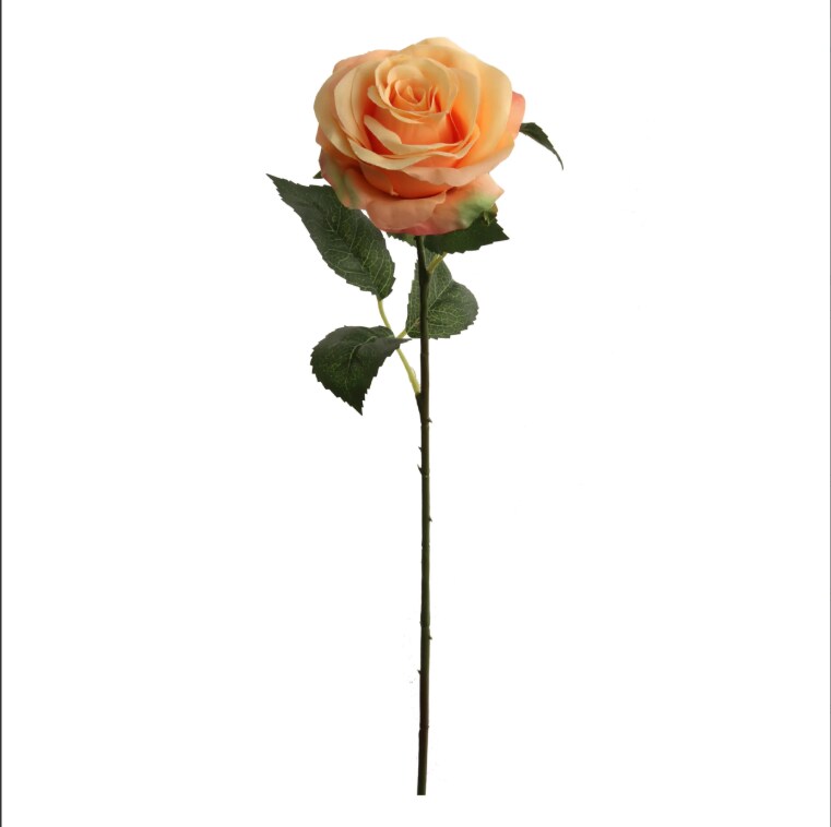20&#x22; Open Rose Stem - 12 PACK