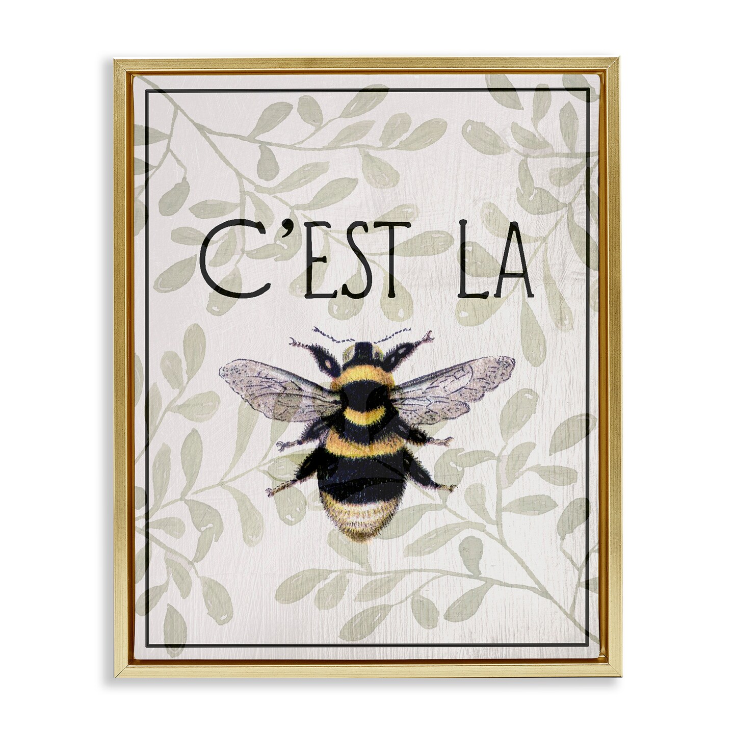 Stupell Industries French Bee on Floral Floating Frame, design by Lil' Rue