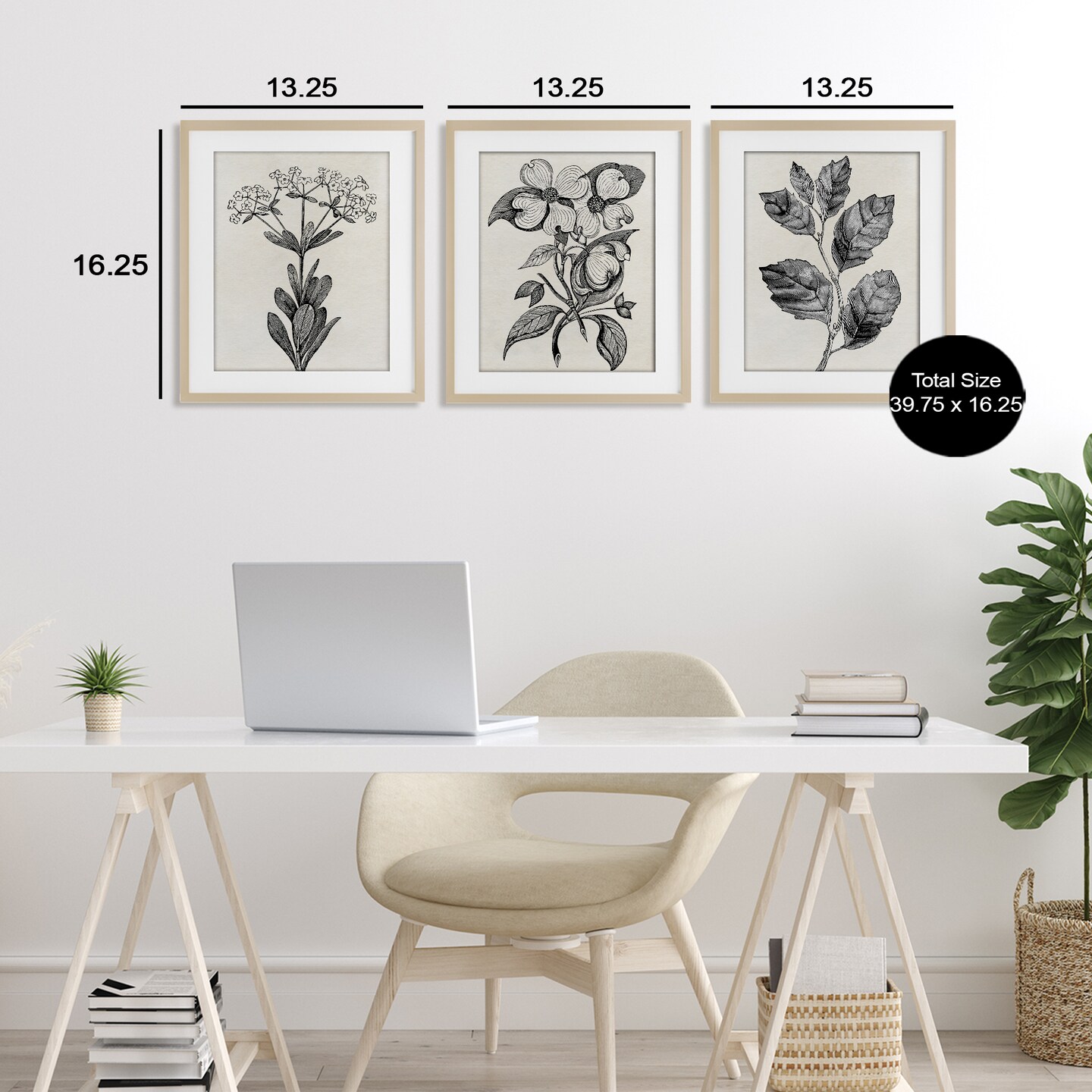 Stupell Industries Classic Natural Botanicals 3pc Framed Print Under Glass Set, design by Karen Smith