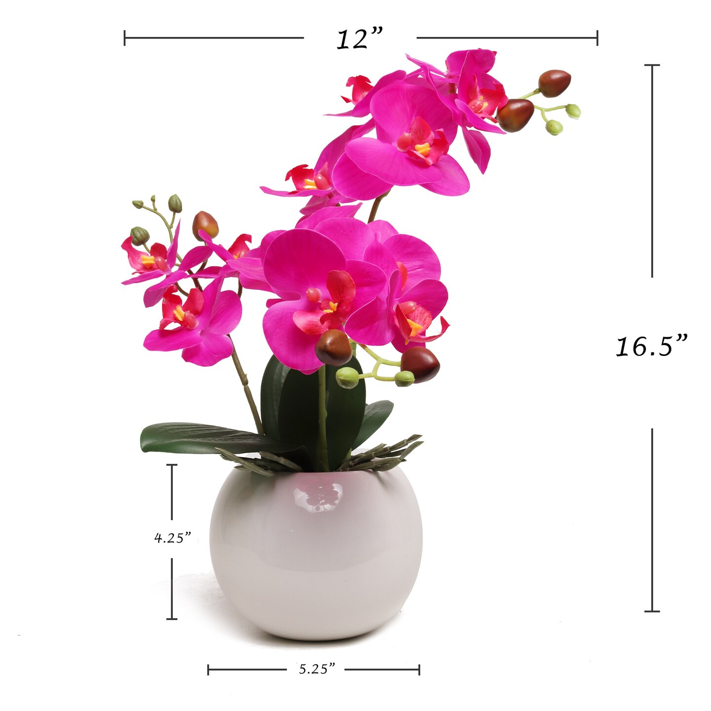 13-Inch Fuchsia Phalaenopsis Orchid Flowers in 5-Inch Round White Vase Lifelike Floral Décor for Home, Office, and Event Displays, Floral Home by Artificial Flowers