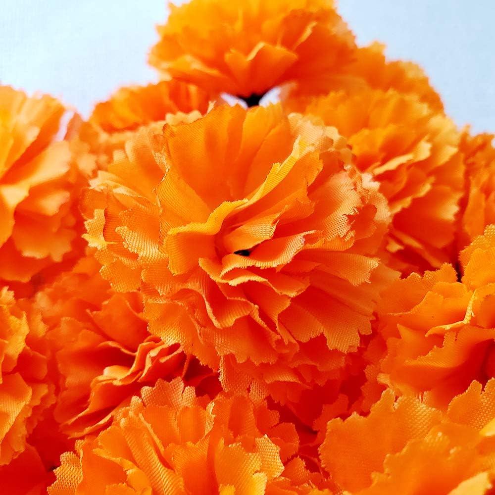 Marigold Flowers Heads Bulk