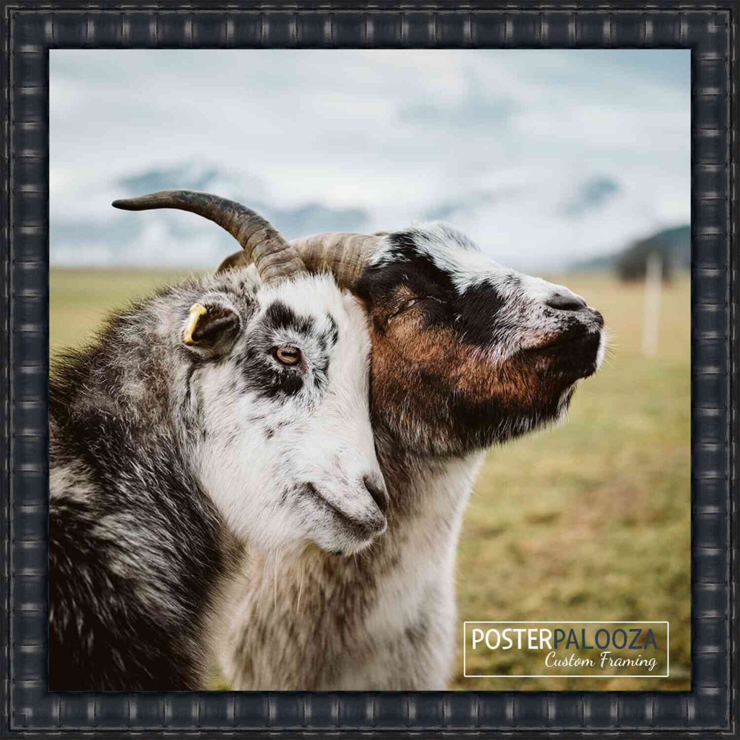 17x17 Bamboo Picture Frame with UV-Resistant Acrylic & Acid Free Backing, Available in 4 Finishes - Brown, Black, Gold, and Natural