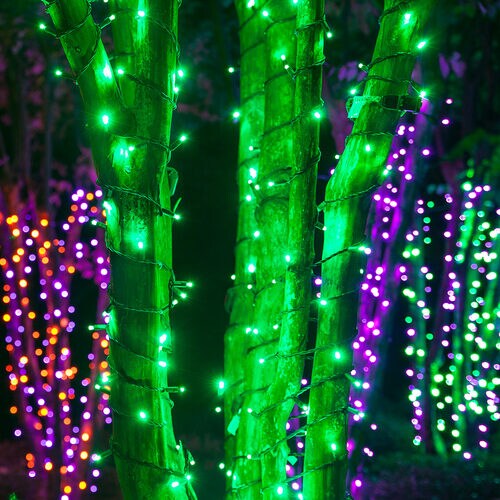 70 5mm Green LED Christmas Halloween Lights, Black Wire, 4" Spacing