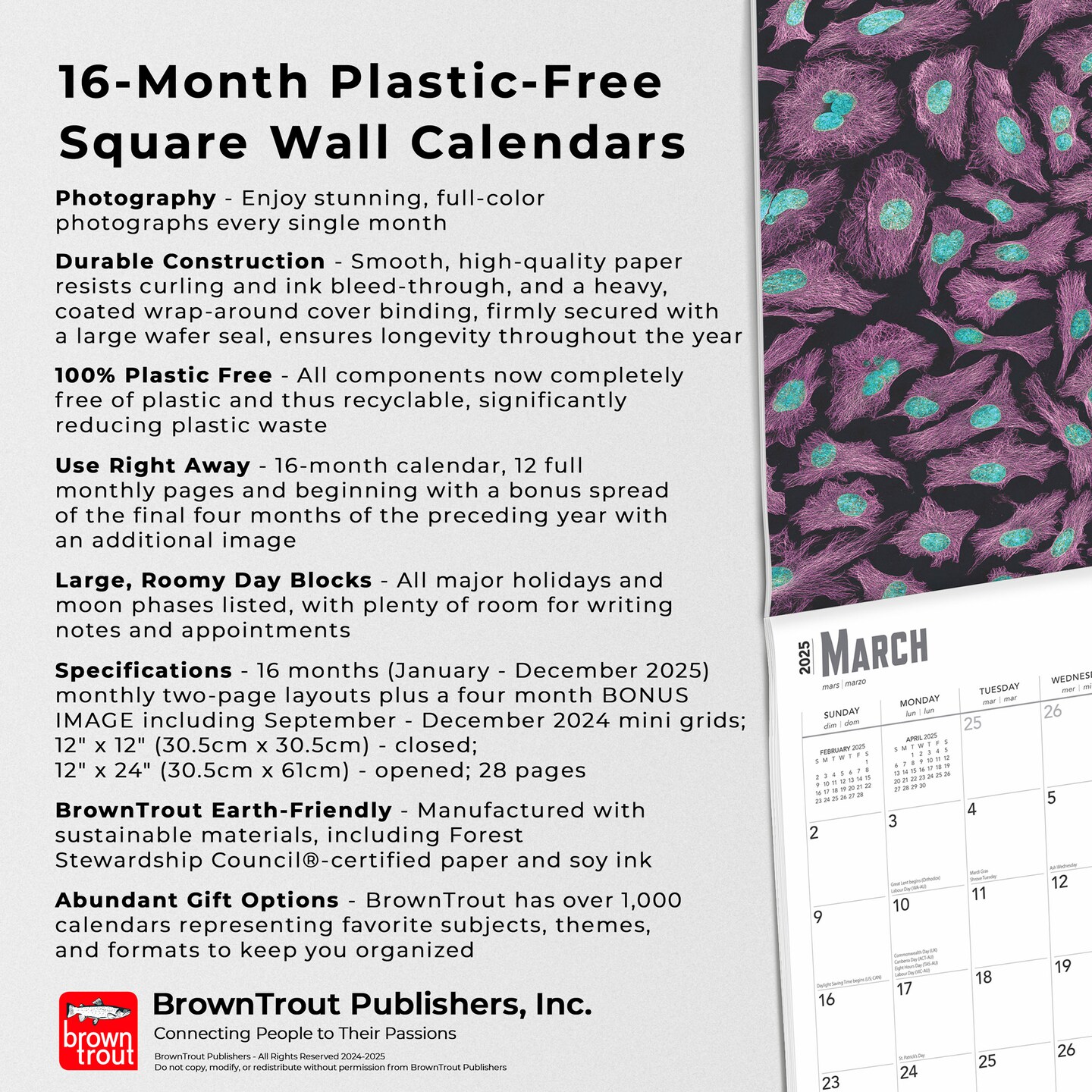 Innerspace | 2025 12 x 24 Inch Monthly Square Wall Calendar | Plastic-Free | BrownTrout | Science Space Exploration Nature