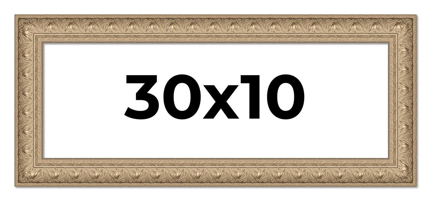 Panoramic Museum Silver Picture Frame - UV Acrylic, Foam Board Backing, Hanging Hardware