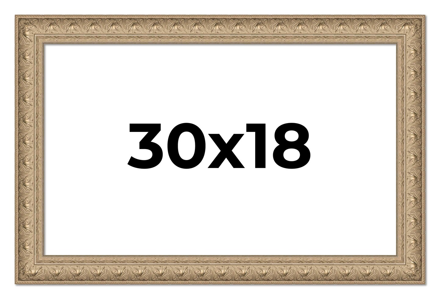 18x30 Museum Picture Frame with UV-Resistant Acrylic &#x26; Acid Free Backing, Available in 4 Finishes - Black, Brown, Gold, Silver