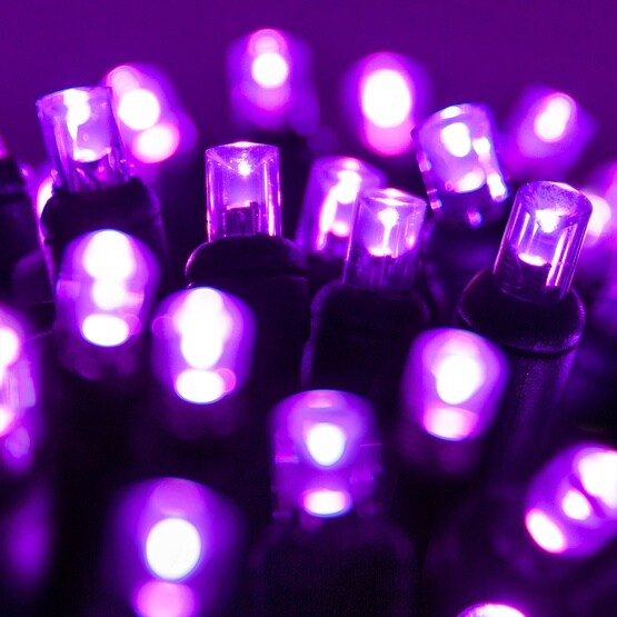 70 5mm Purple LED Christmas Halloween Lights, 4" Spacing, Black Wire
