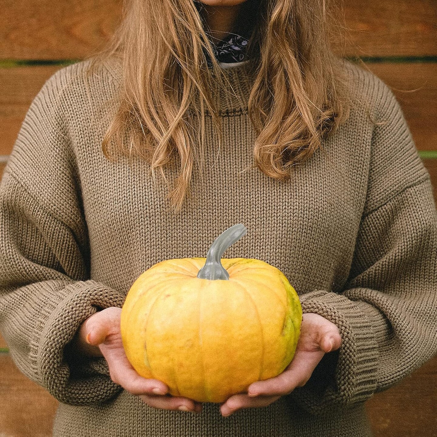 8 Pcs Pumpkin Stems for Crafts Halloween Pumpkin Stems