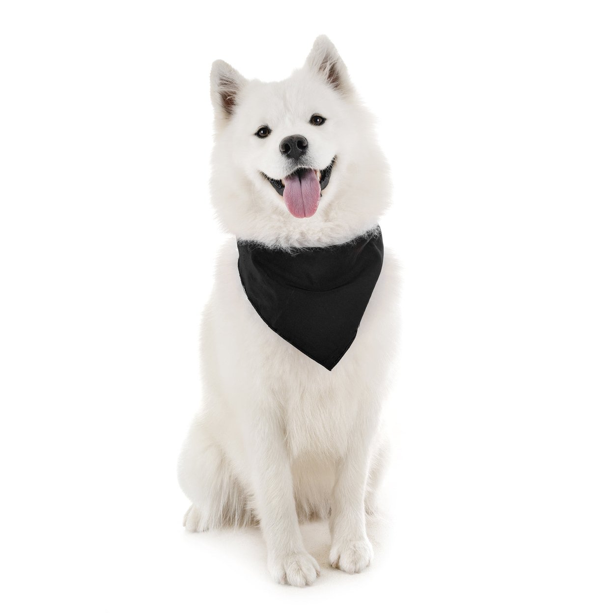30 Pack Xl Oversized Cotton Dog Bandanas Solid Colors