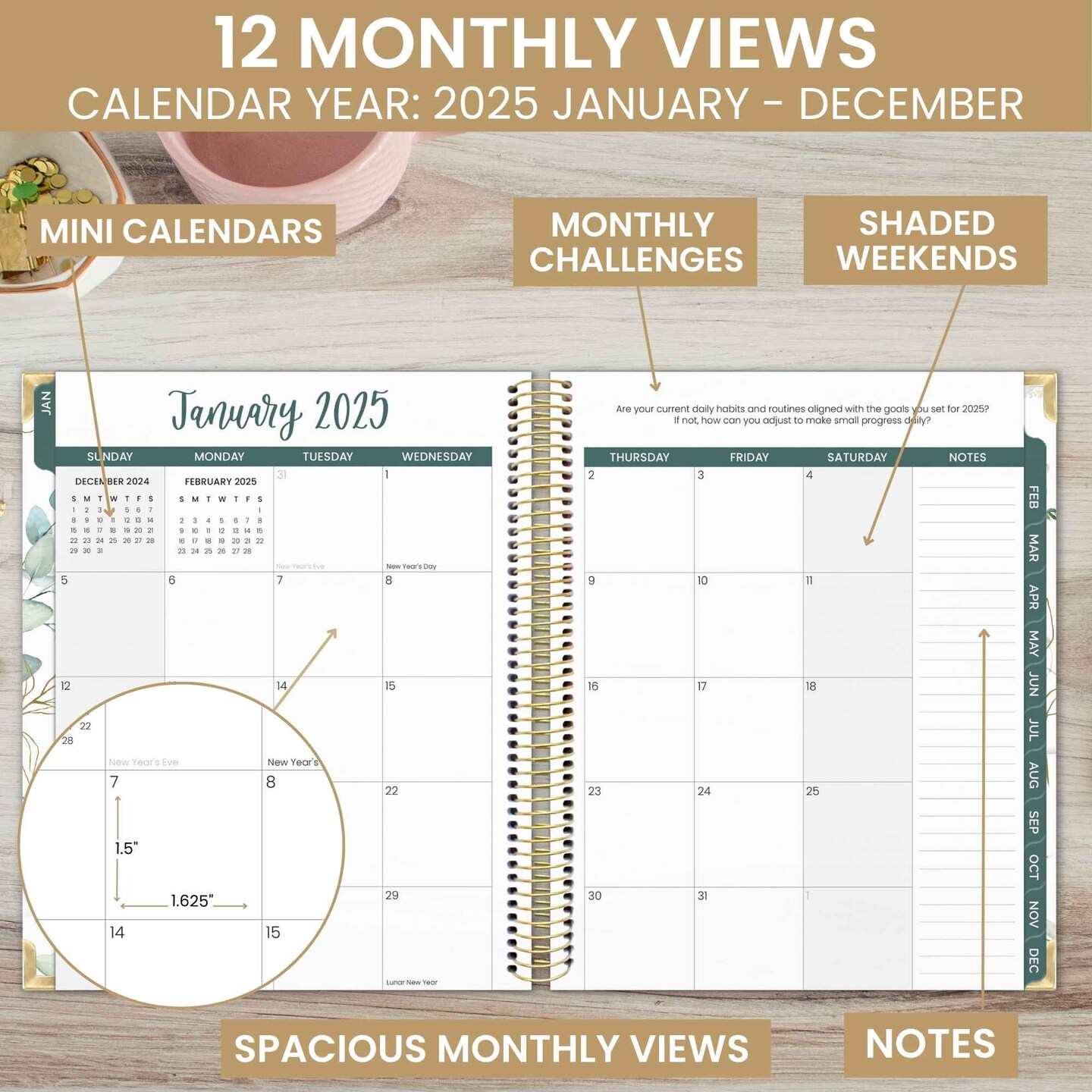 bloom daily planners 2025 Vision Planner, 7.5&#x22; x 9&#x22;, Eucalyptus, White