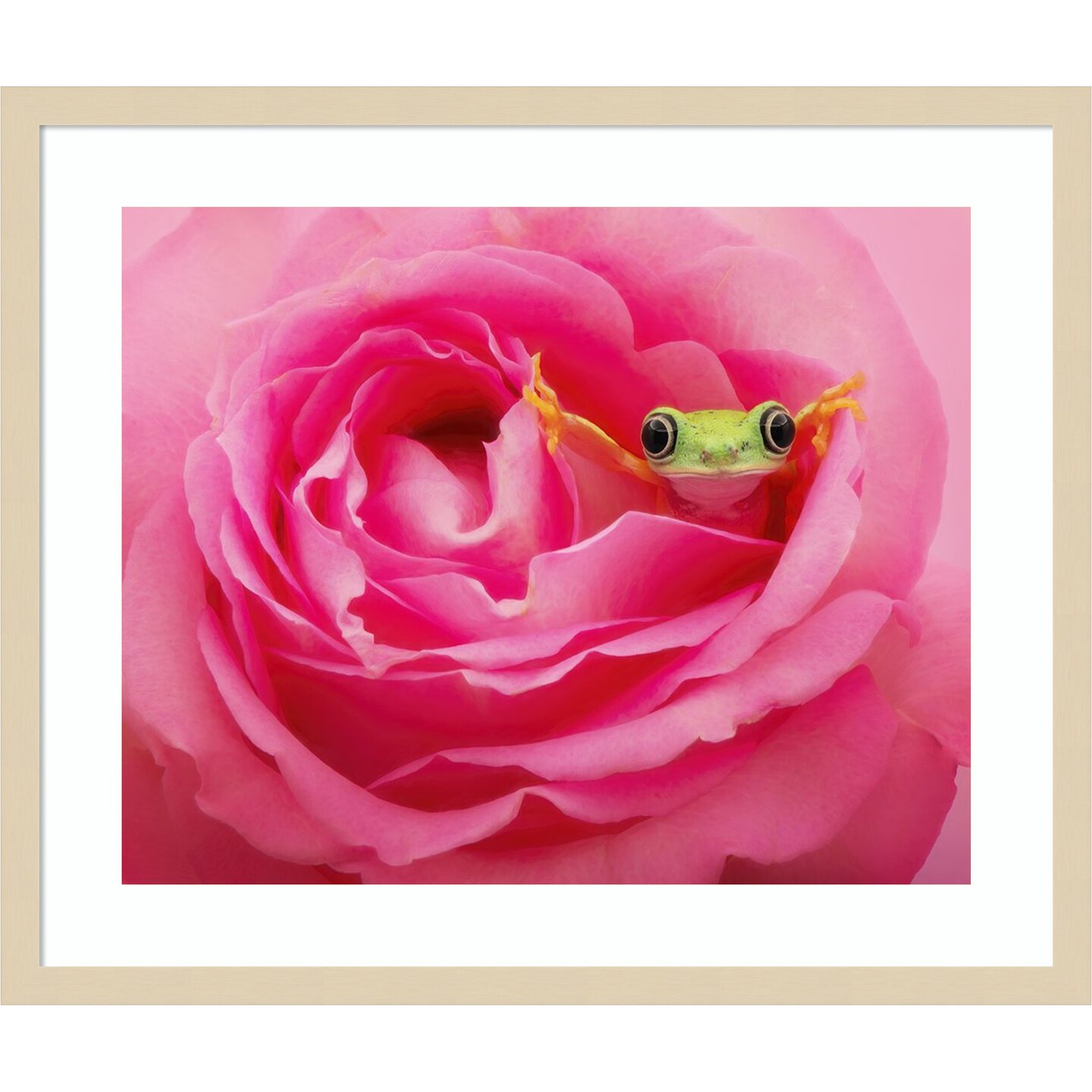 Hanging On VIII by PHBurchett Wood Framed Wall Art Print