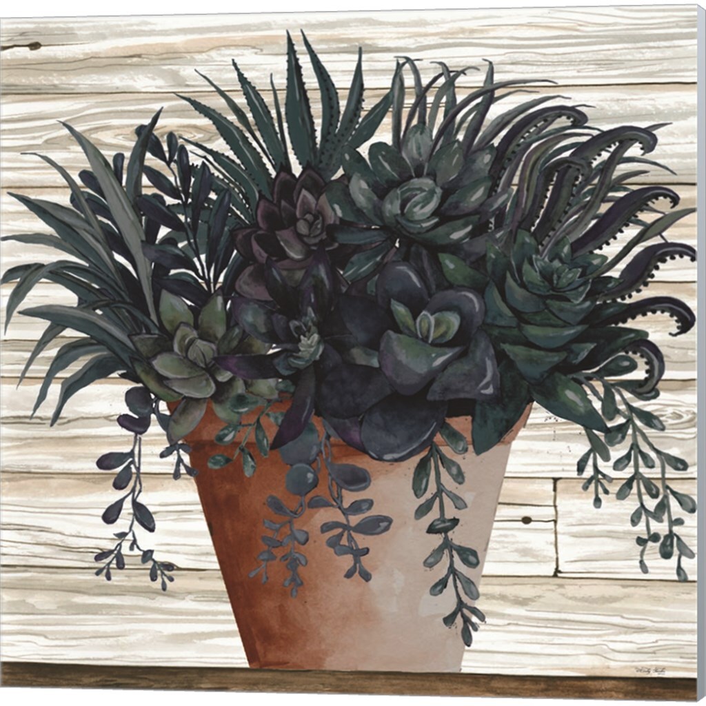 Remarkable Succulents by Cindy Jacobs 14&#x22; x 14&#x22; Canvas Wall Art (Set of 2)