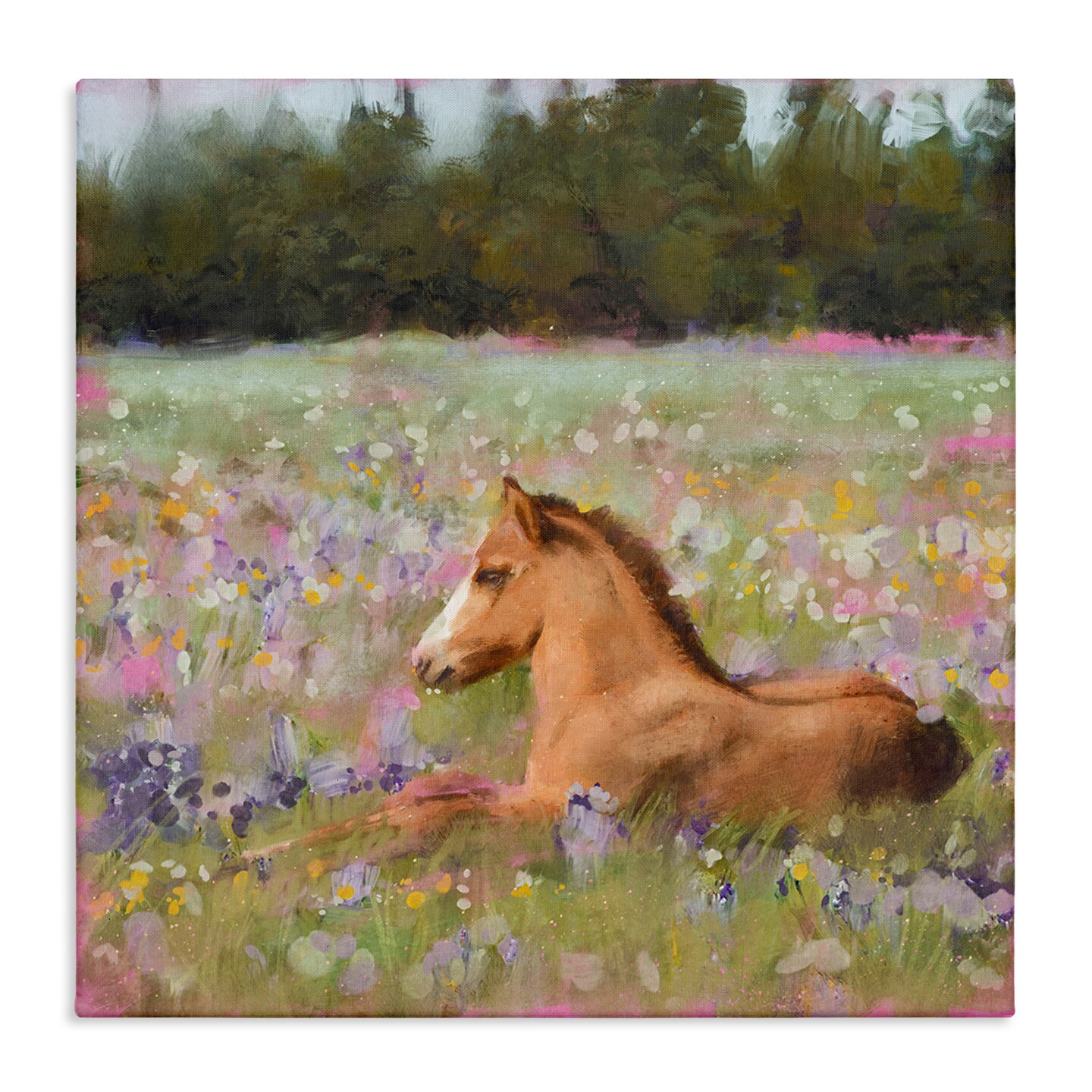 Stupell Industries Foal Horse Lounging Flower Meadow Canvas Wall Art
